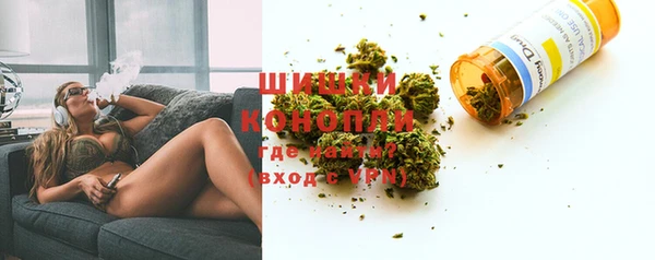 ПСИЛОЦИБИНОВЫЕ ГРИБЫ Михайловка