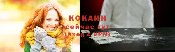 СК Медвежьегорск