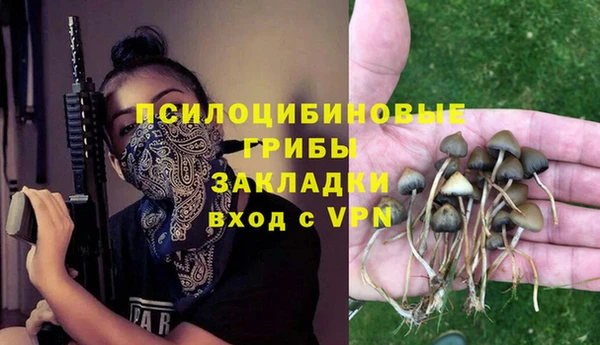 mdpv Михайловск