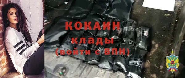 меф Мегион
