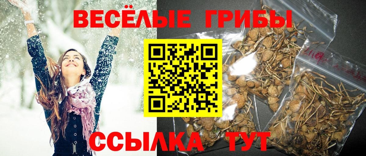 Новодвинск  Псилоцибиновые грибы GOLDEN TEACHER  Вход с VPN 