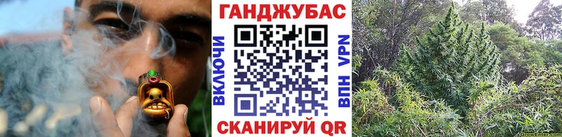 Каннабис гибрид  мега как зайти  Новодвинск  купить наркотик 